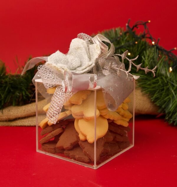 Plexi Cokes Christmas