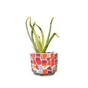 Mosaic Pot