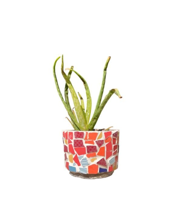 Mosaic Pot